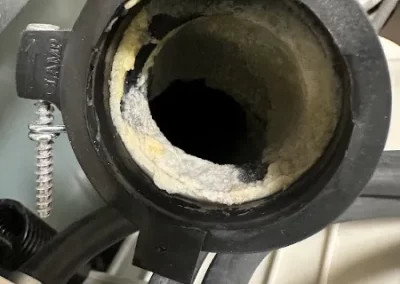 Trusted Appliance Technician